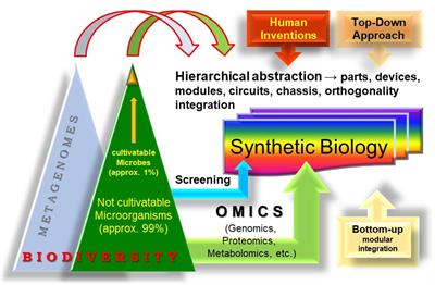 Synthetic biology encompasses metagenomics, ecosystems, and biodiversity sustainability within its scope